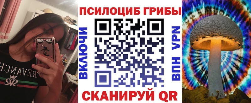 Купить где  Торжок  Галлюциногенные грибы Psilocybine cubensis 